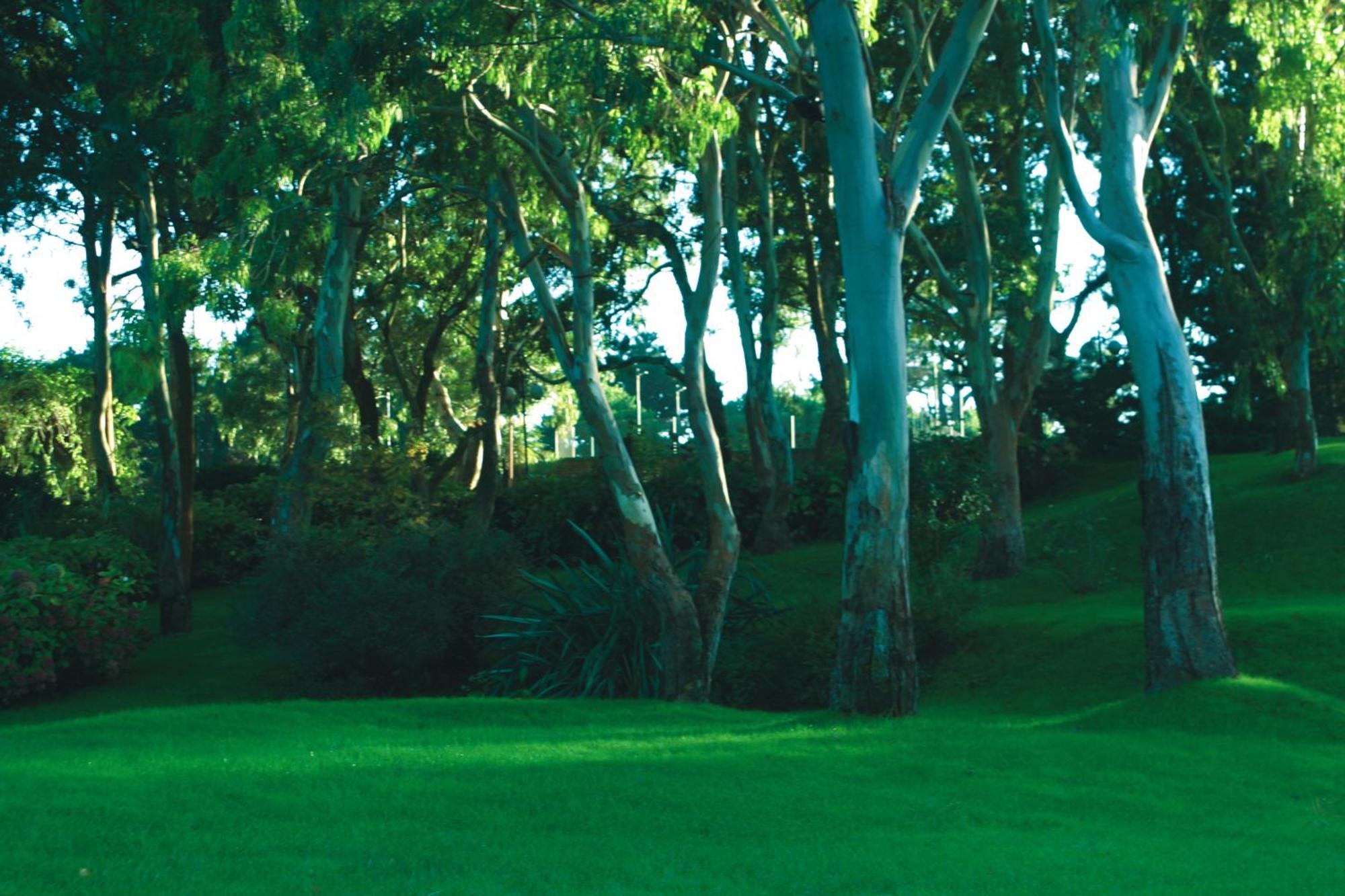 Hotel Del Bosque