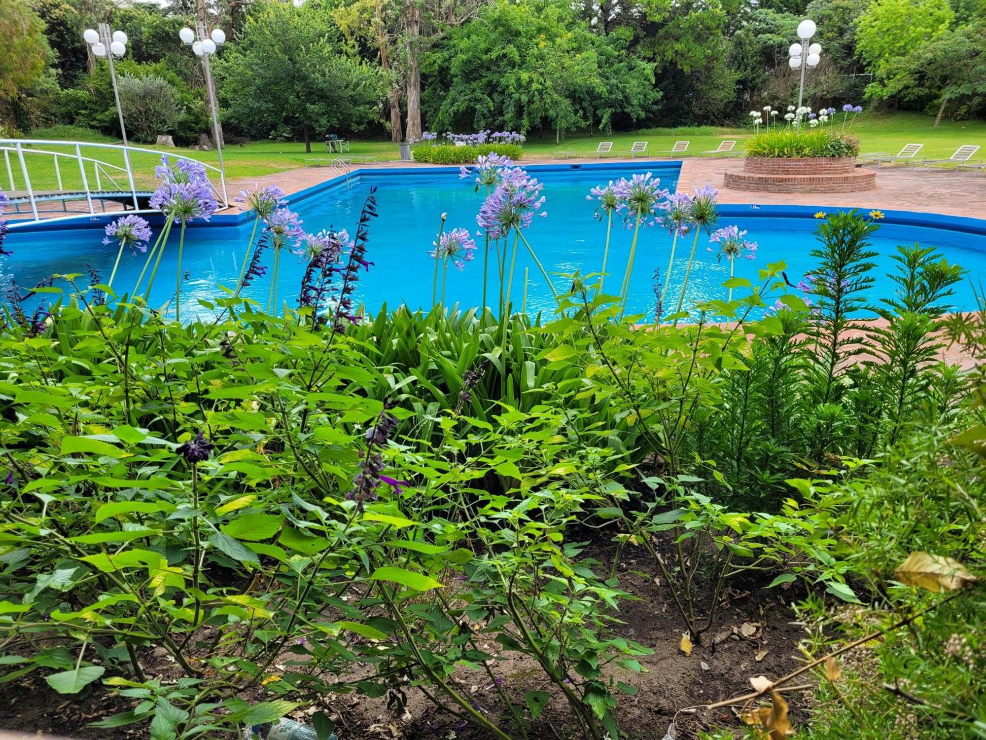 Del Bosque Hotel